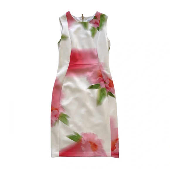 Calvin Klein Watercolor Floral Off white Sheath stretch Office career Dress 6 S - Picture 3 of 10